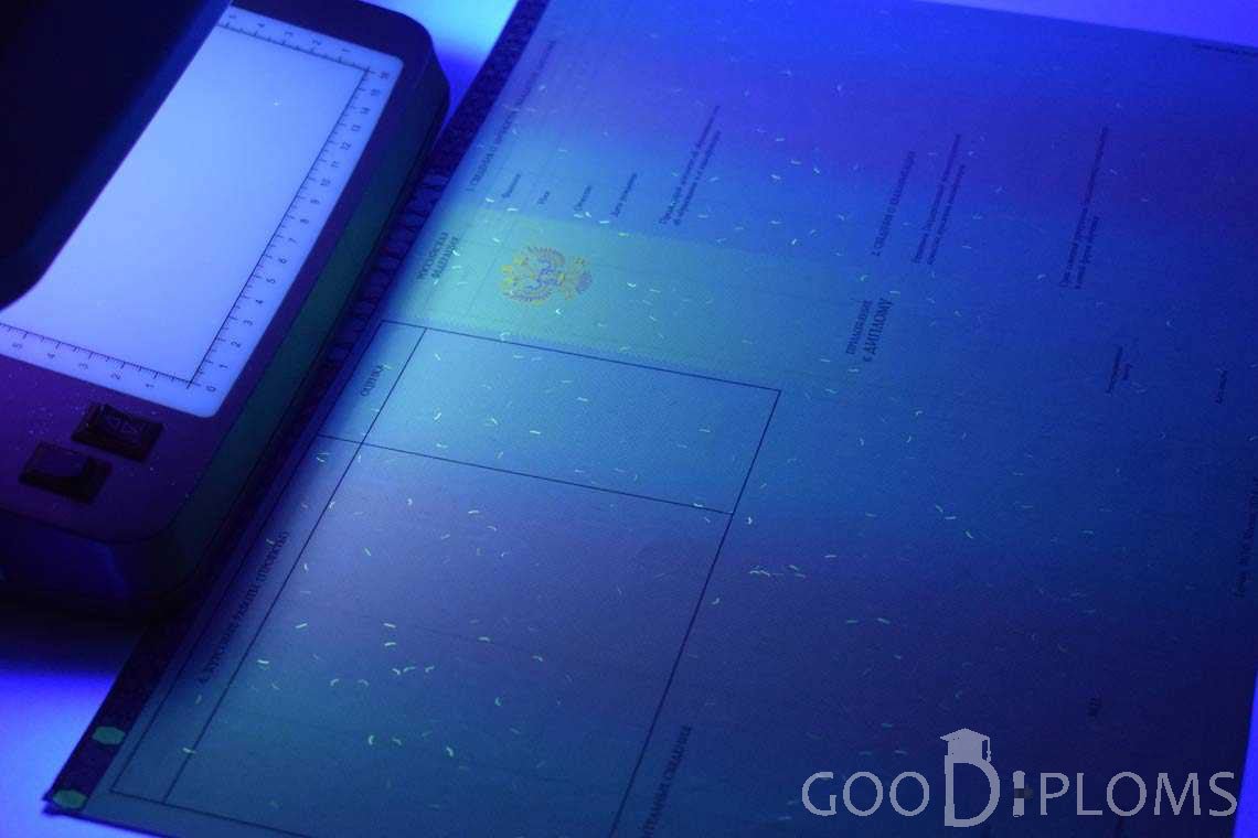 Приложение к Диплому Бакалавра с Отличием в Ультрафиолете период c 2013 по 2025 год - Балашиху