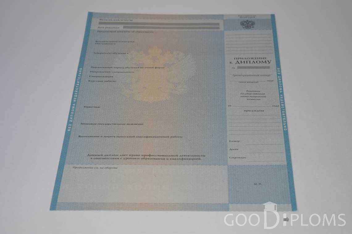 Приложение к Диплому Магистра в период c 2009 по 2010 год - Балашиху