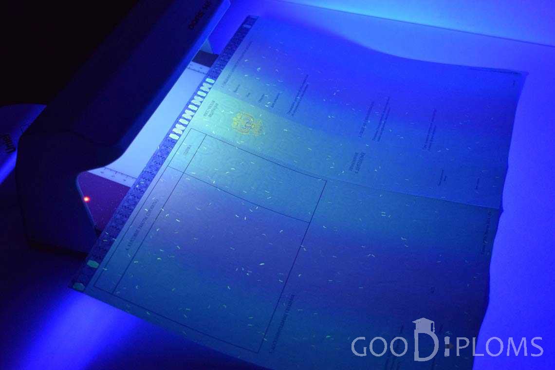 Приложение к Диплому Магистра в Ультрафиолете в период c 2014 по 2025 год - Балашиху
