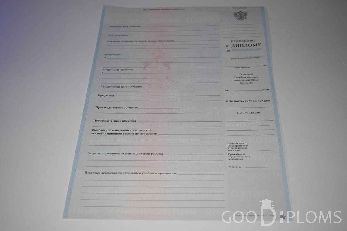 Приложение к Диплому Училища период выдачи 2007-2010  -  Балашиху
