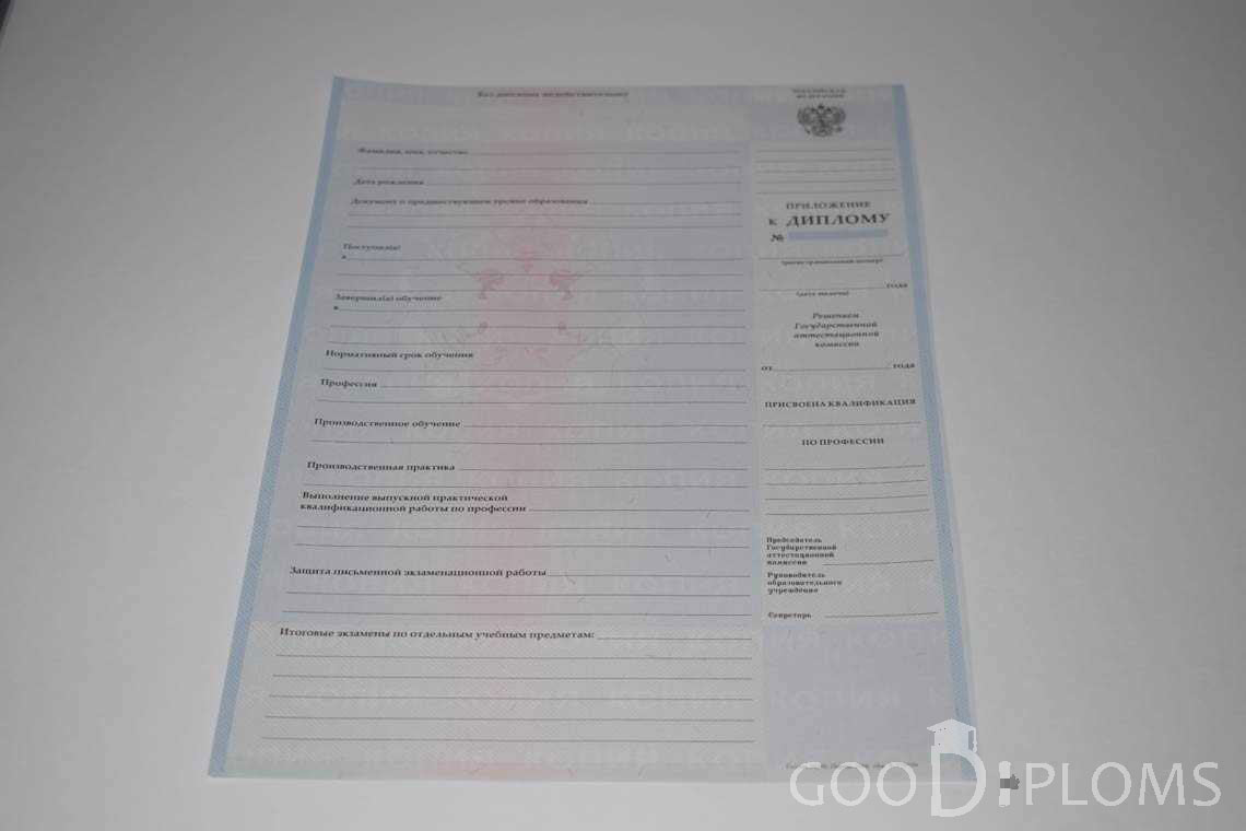 Приложение к Диплому Техникума с Отличием в период c 2008 по 2010 год - Балашиху