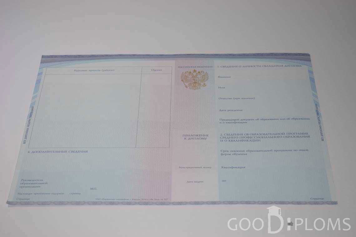 Приложение к Диплому Техникума с Отличием в период c 2014 по 2025 год - Балашиху