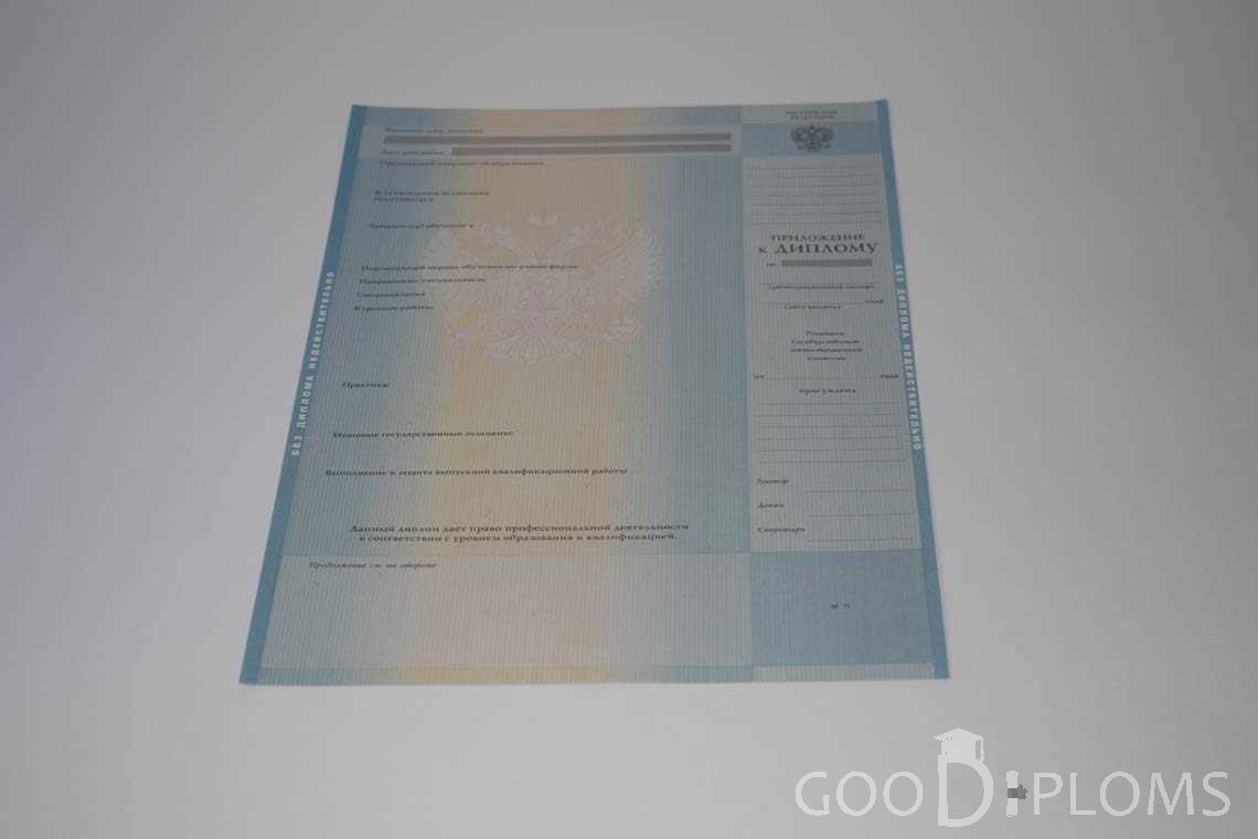Приложение к Диплому о Высшем Образовании с Отличием - Балашиху