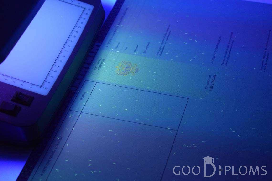 Приложение к Диплому о Высшем Образовании с Отличием в Ультрафиолете - Балашиху